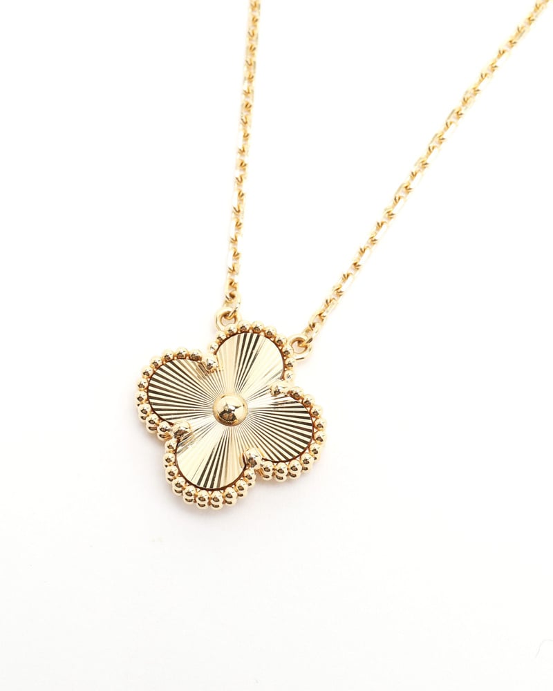 37245_61fb9f5367_file-full