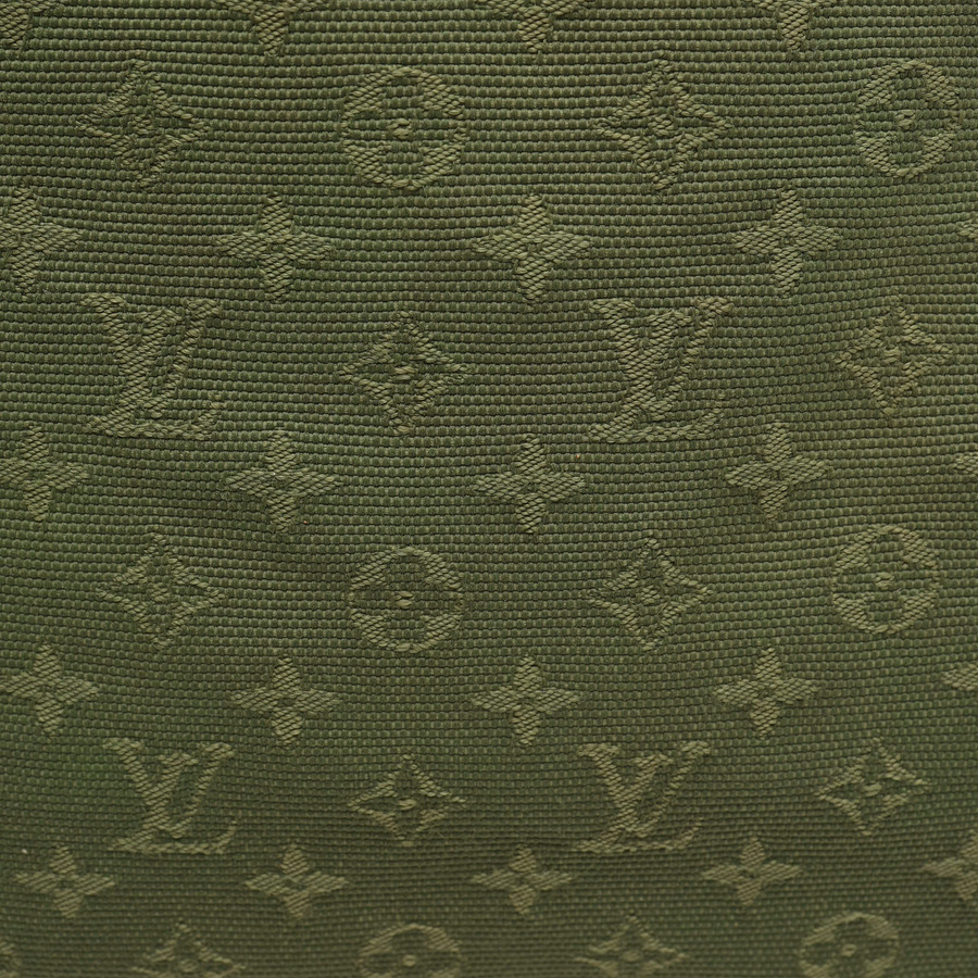 Louis Vuitton Mini Lin Lucille PM Bag
