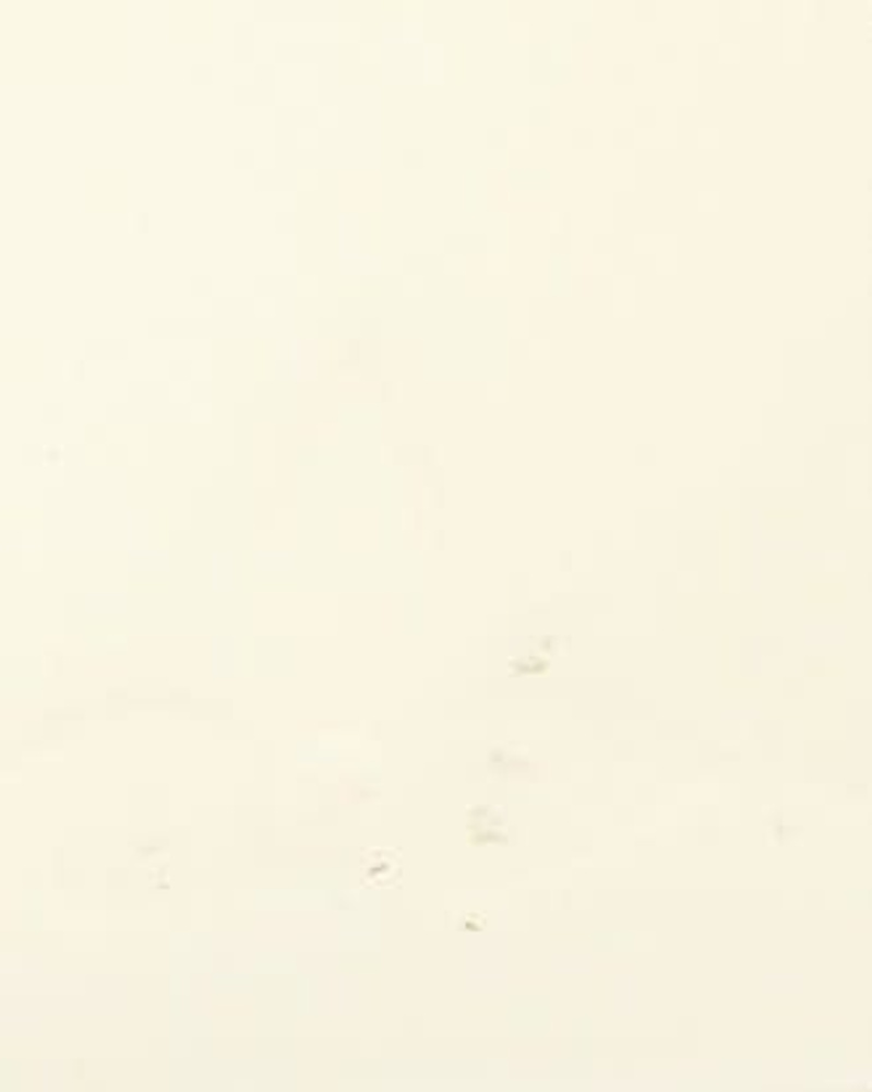 49716_3f877435e8_file-full