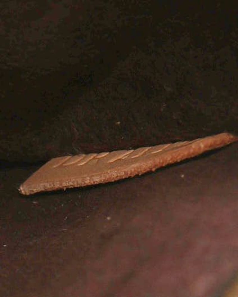 51225_1504afffee_file-full