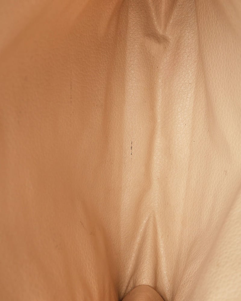 51592_885d50978a_file-full