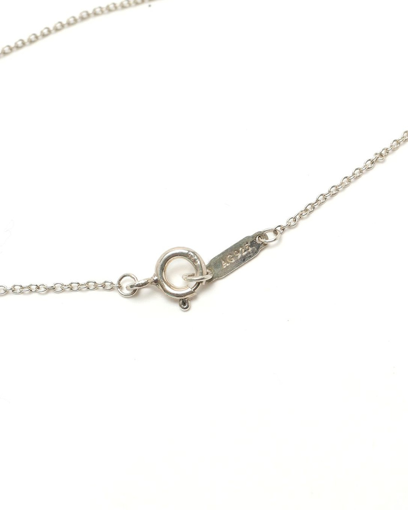 51680_1a94158c79_file-full