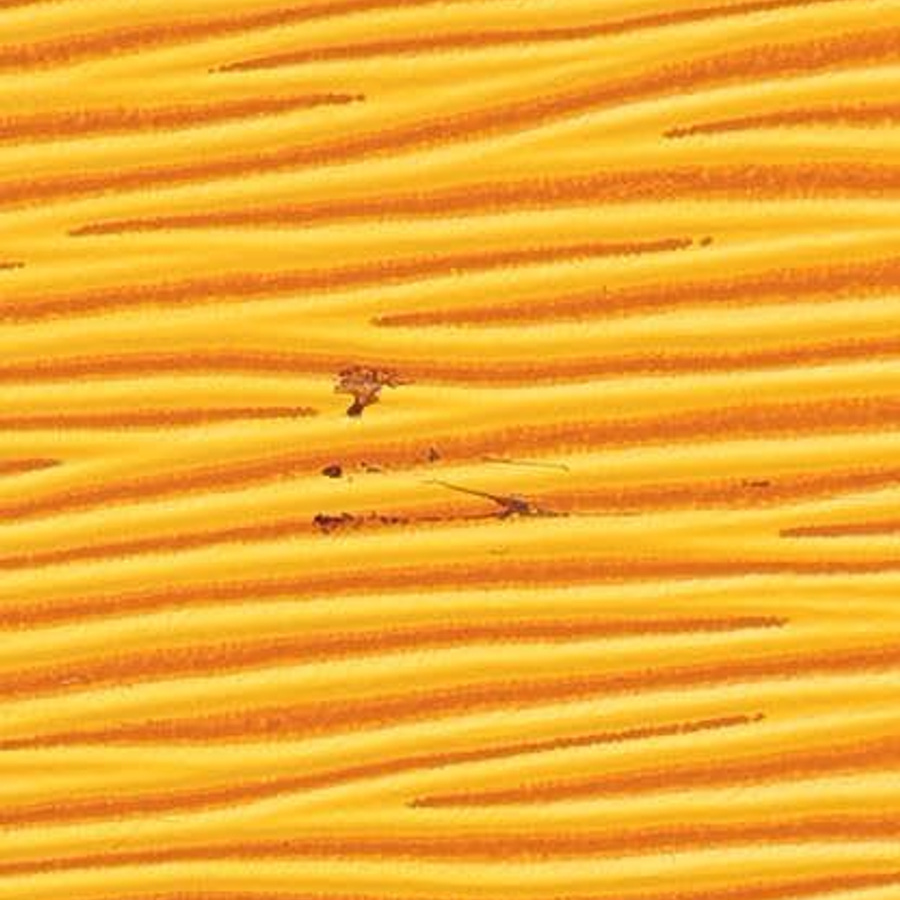 52271_7cbe6de2b0_file-square