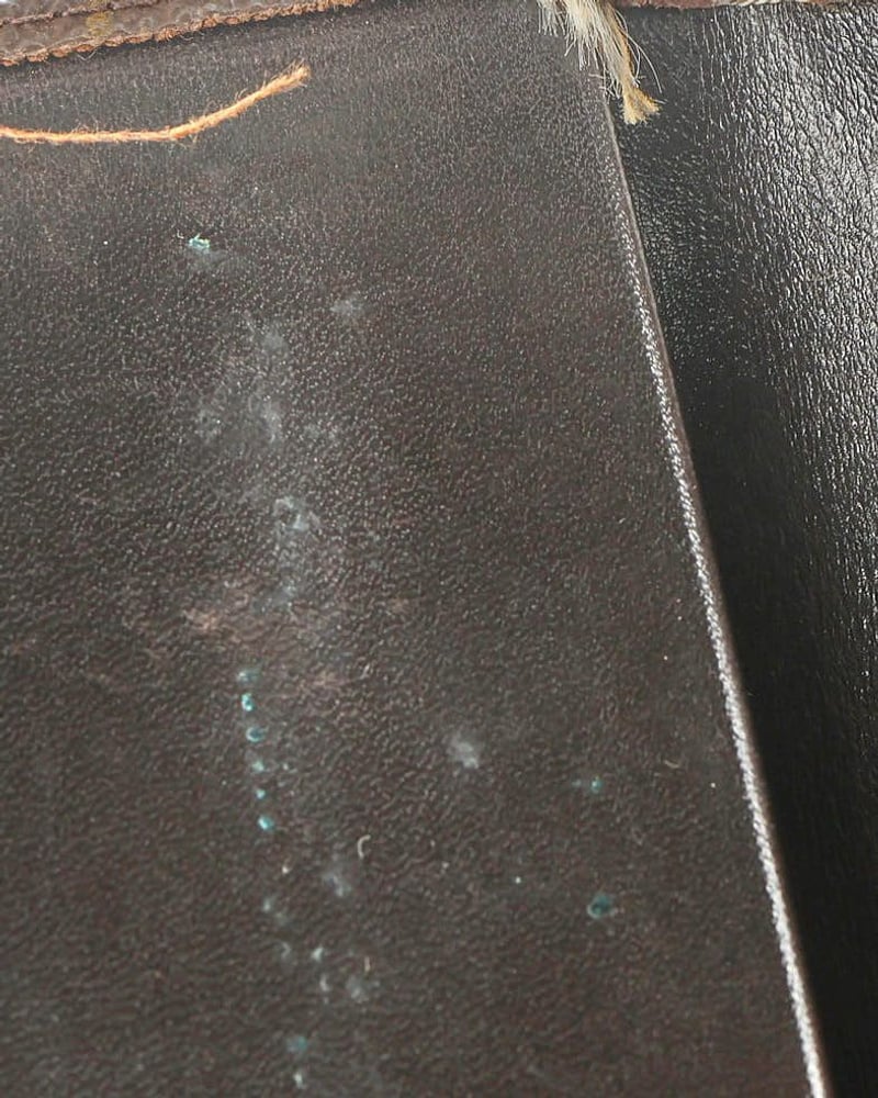 53613_da376dc25a_file-full