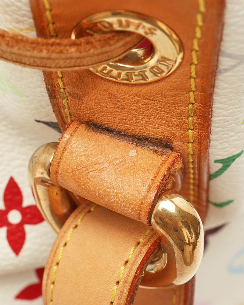 Louis Vuitton Murakami Monogram Petit Noé Bag