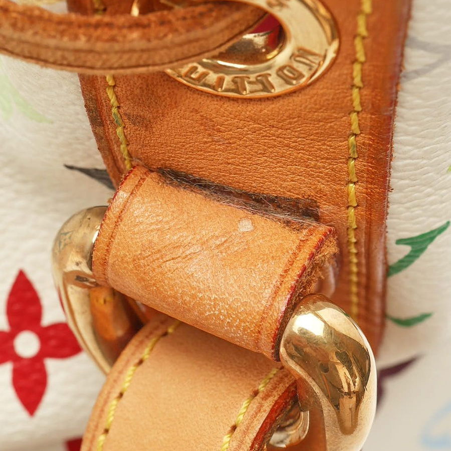 Louis Vuitton Murakami Monogram Petit Noé Bag