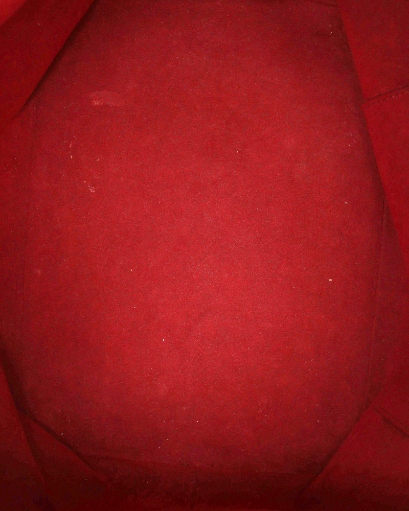 Louis Vuitton Murakami Monogram Petit Noé Bag