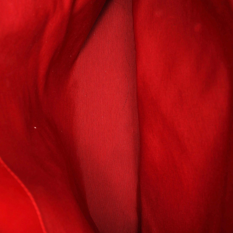 55569_7e35c28824_file-square