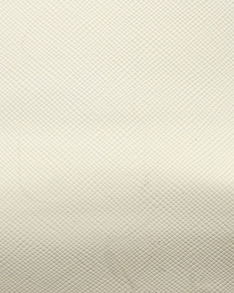 55589_0d0e83abb5_file-full