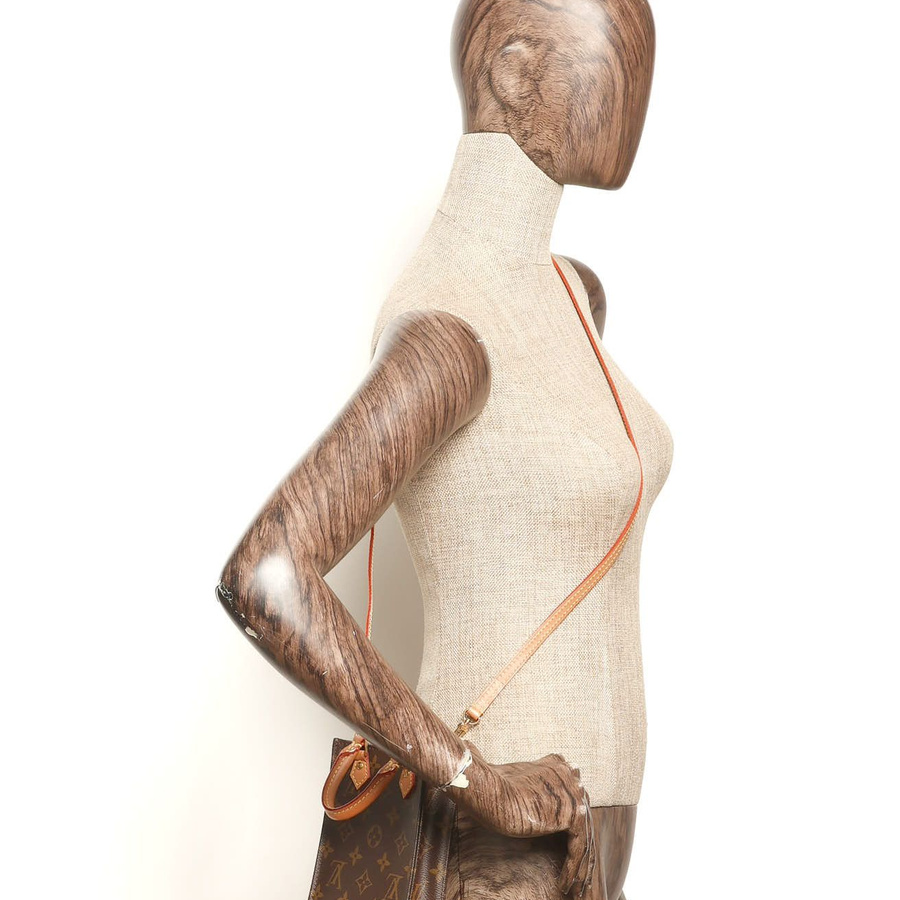 Louis Vuitton Monogram Petit Sac Plat Bag worn on a mannequin