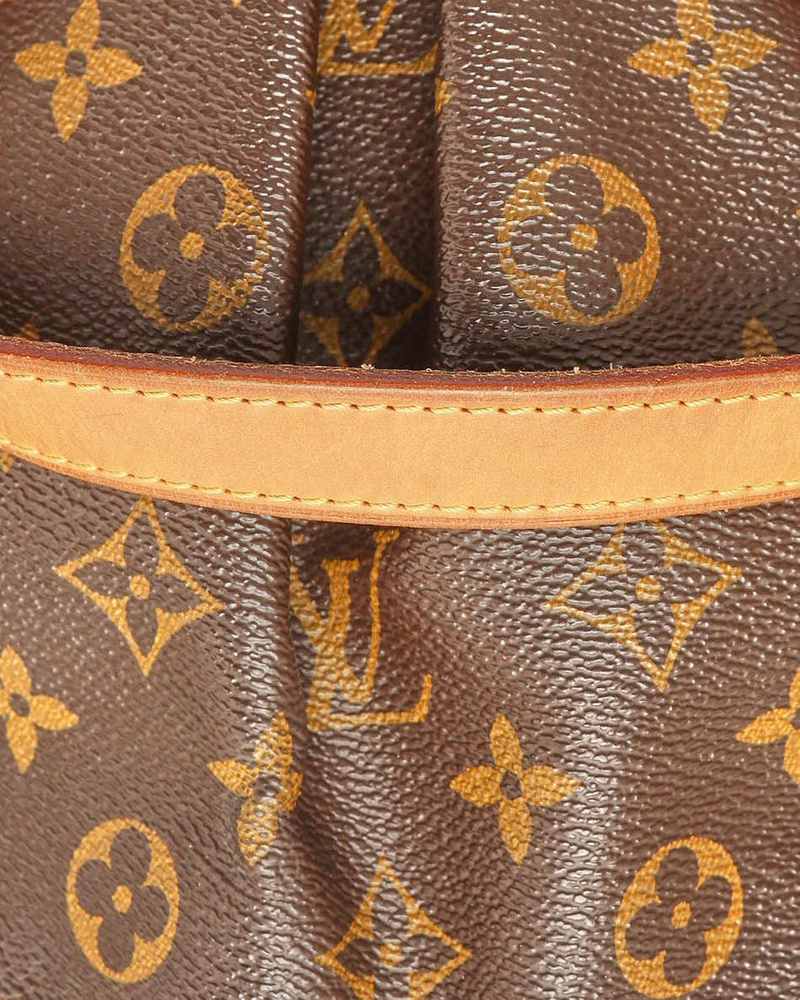 Louis Vuitton Monogram Palermo PM Bag
