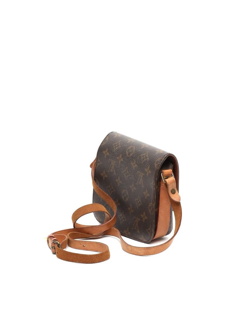 Louis Vuitton Monogram Catouchiere PM Bag