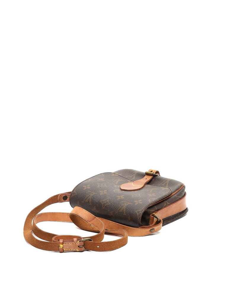 Louis Vuitton Monogram Catouchiere PM Bag