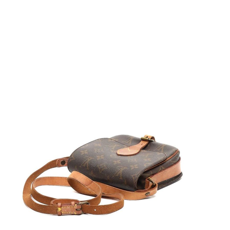 Louis Vuitton Monogram Catouchiere PM Bag