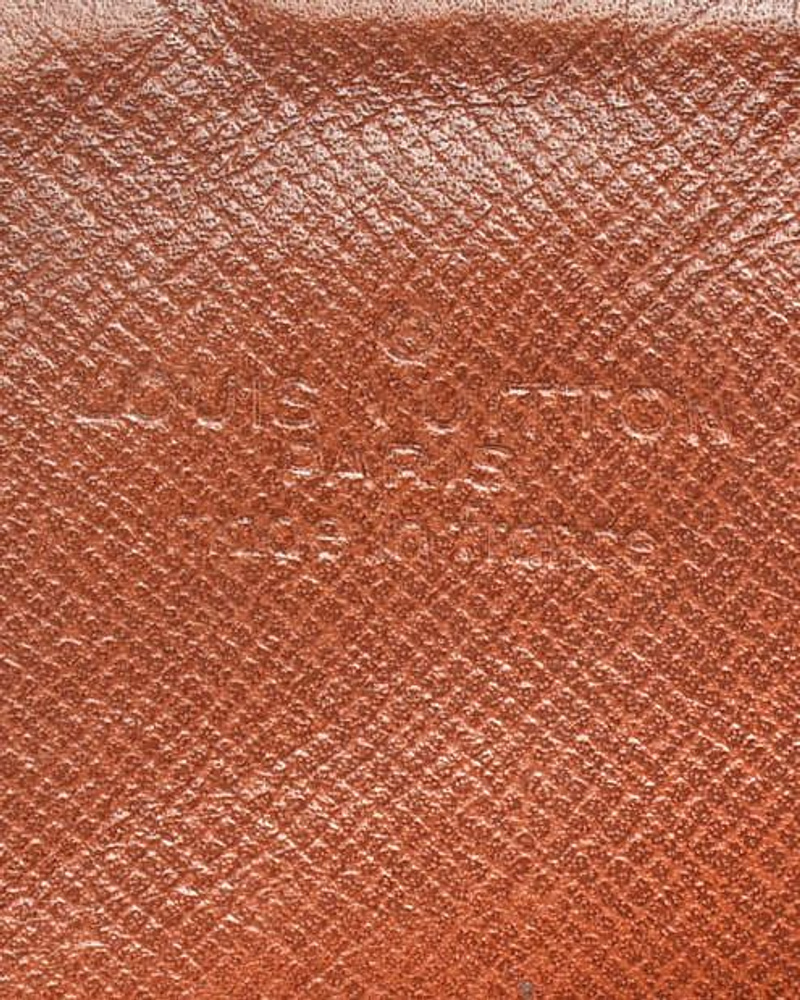 Louis Vuitton Monogram Catouchiere PM Bag