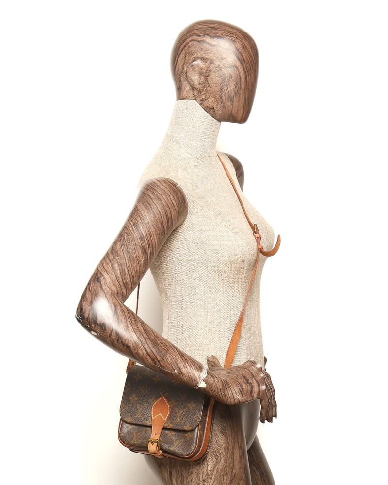 Louis Vuitton Monogram Catouchiere PM Bag