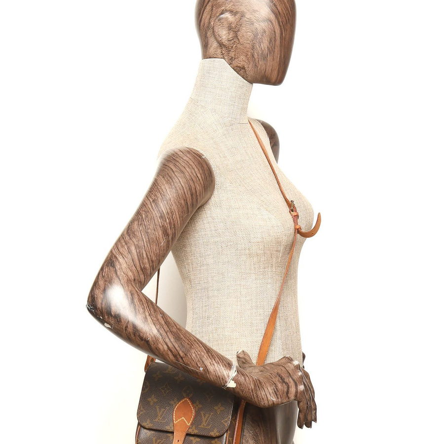 Louis Vuitton Monogram Catouchiere PM Bag
