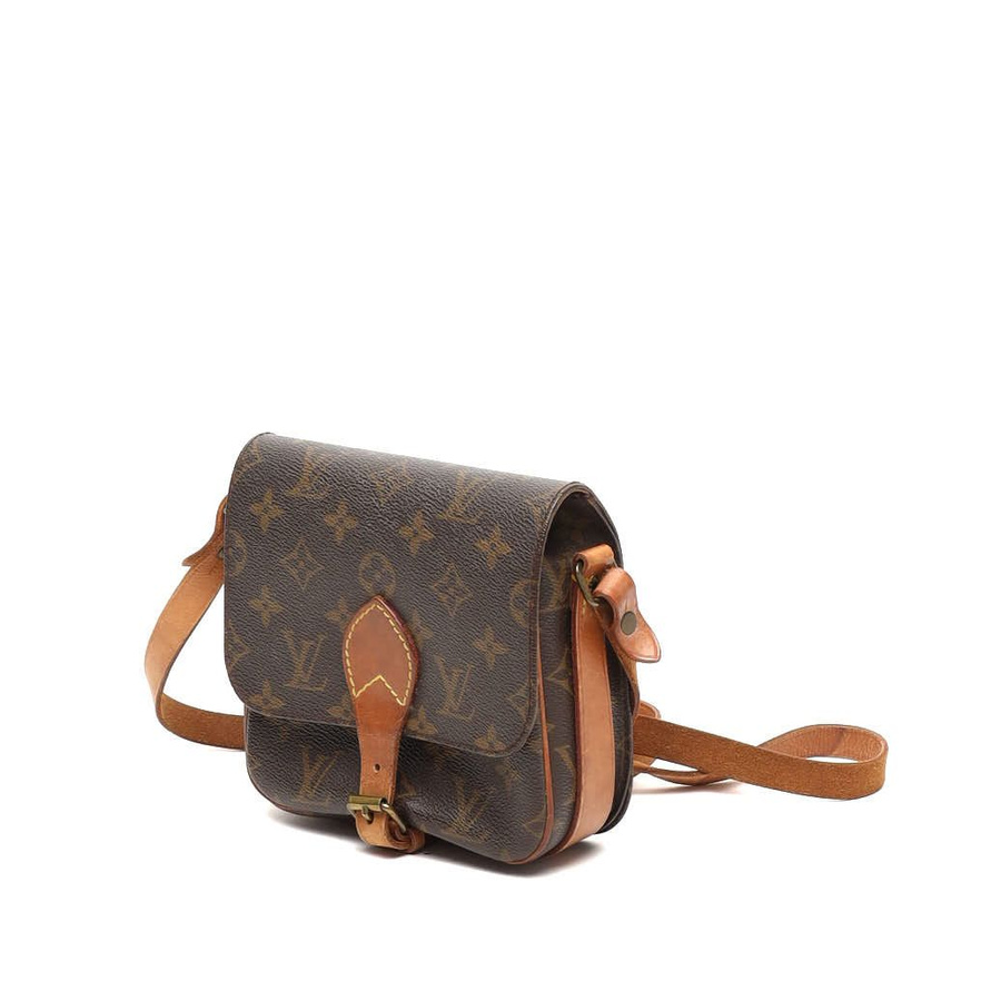 Louis Vuitton Monogram Catouchiere PM Bag