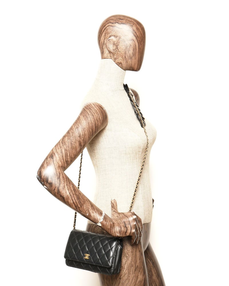 Chanel Wallet on Chain Bag