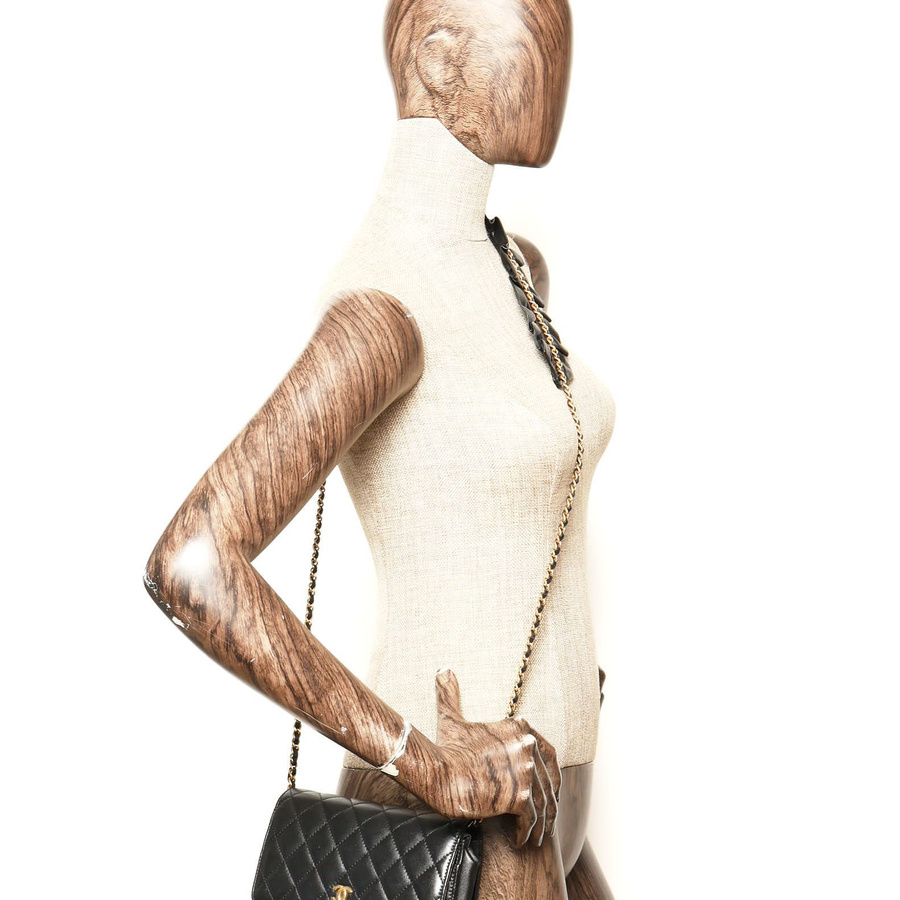 Chanel Wallet on Chain Bag