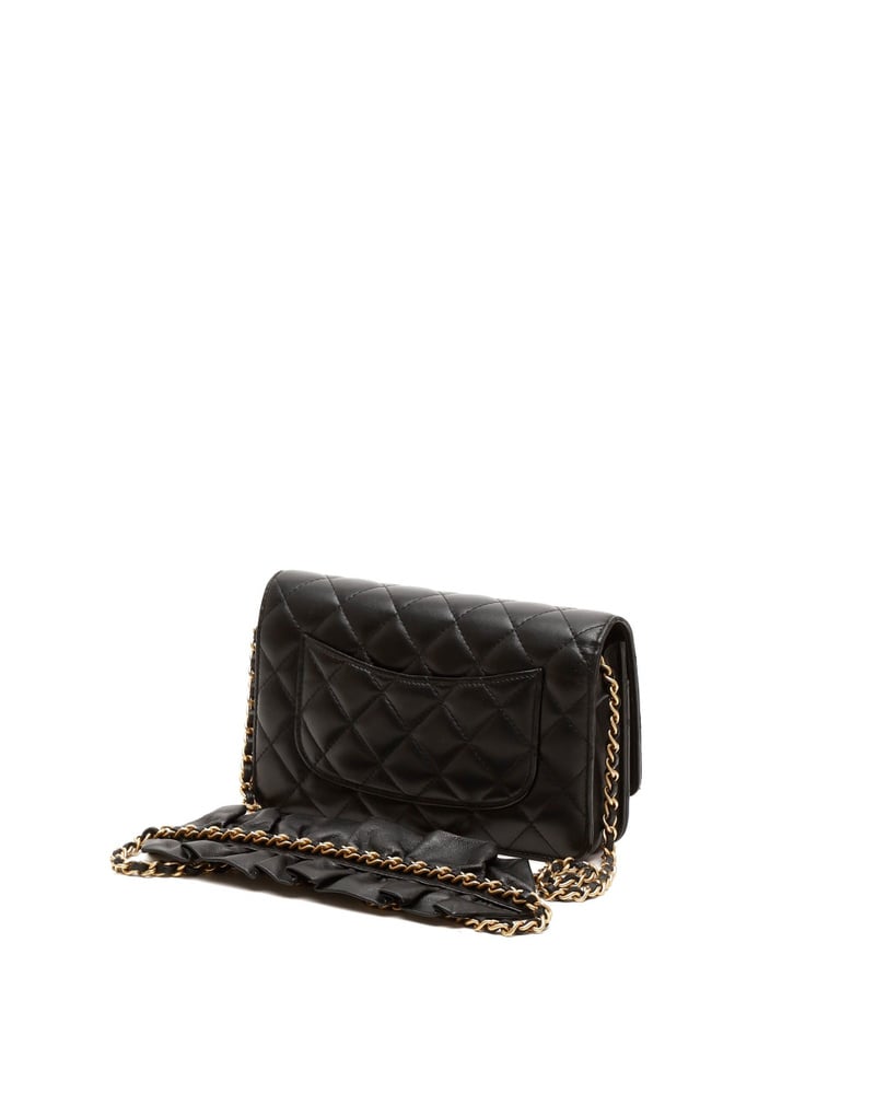 Chanel Wallet on Chain Bag