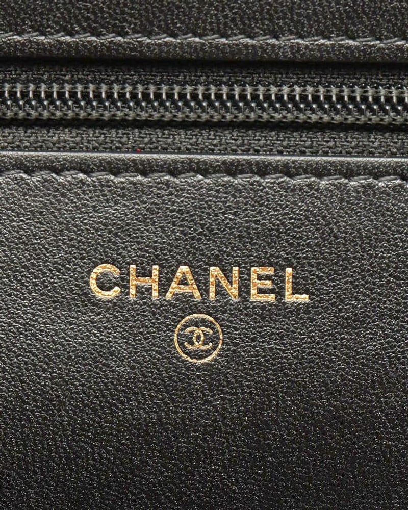 Chanel Wallet on Chain Bag