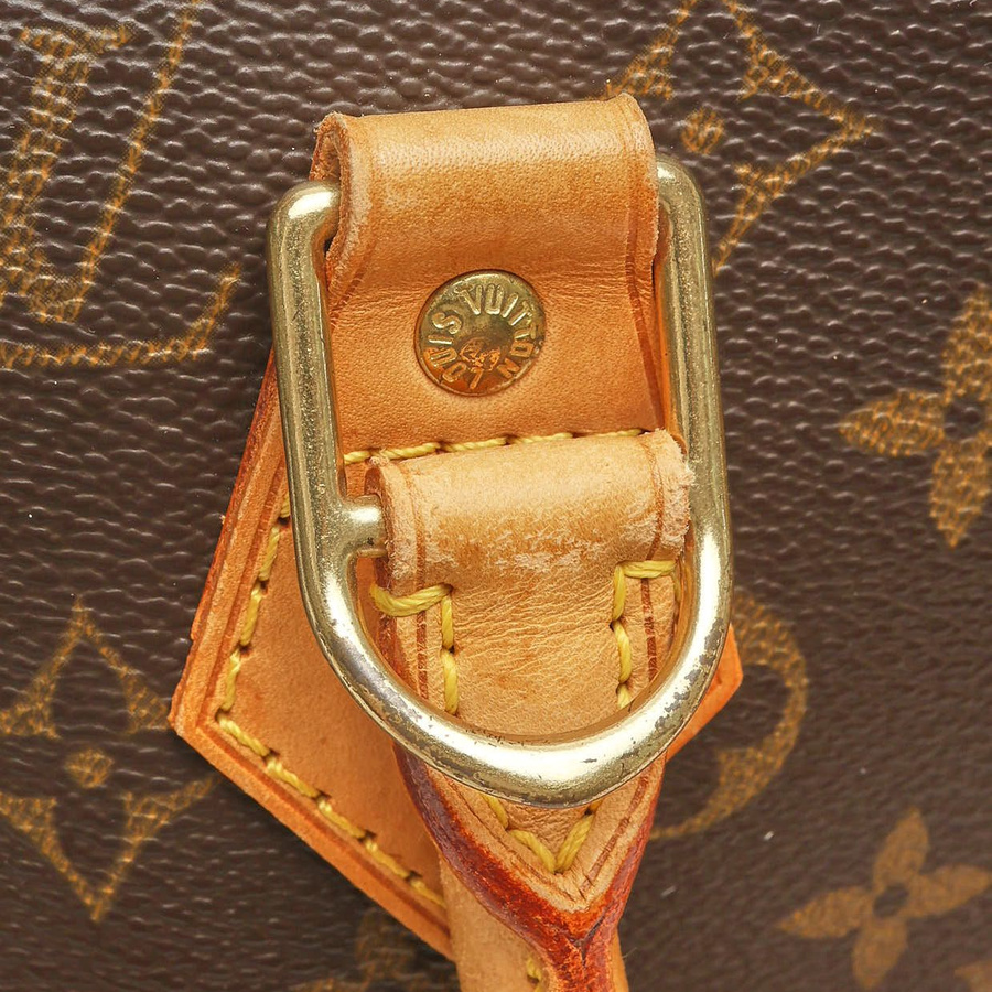 Louis Vuitton Monogram Alma PM Bag