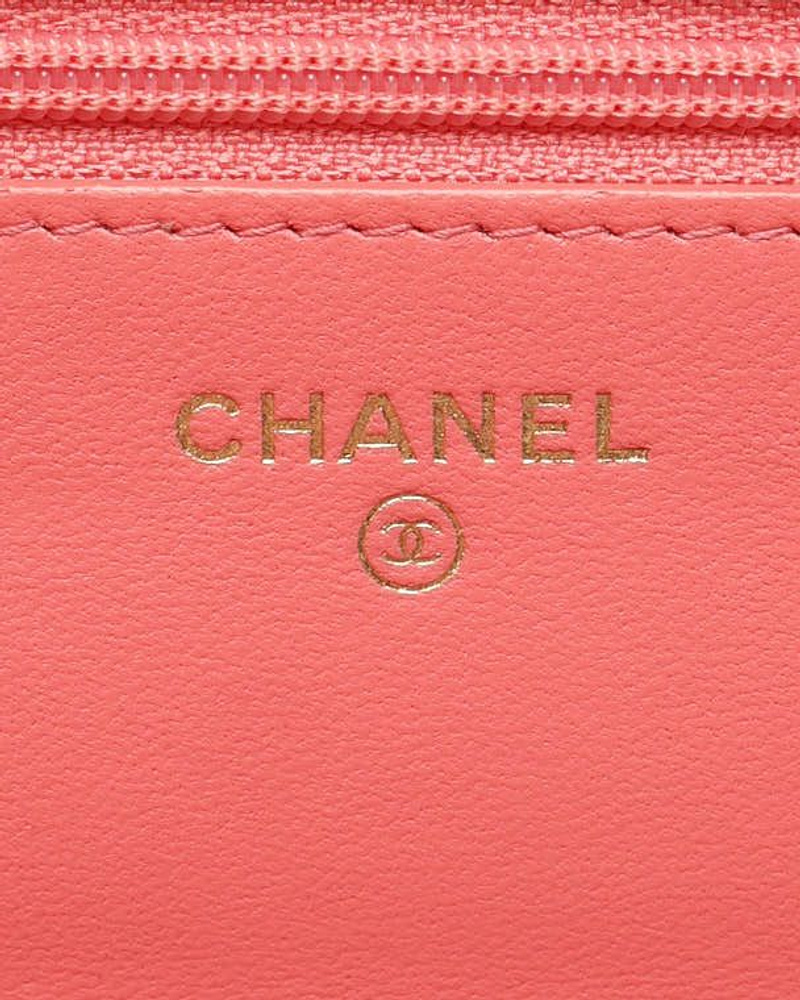 Chanel Classic Wallet On Chain Bag