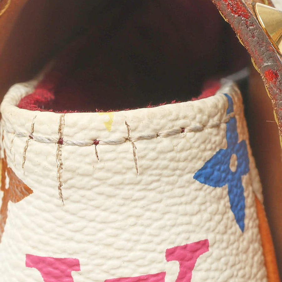 Louis Vuitton Murakami Sologne Bag