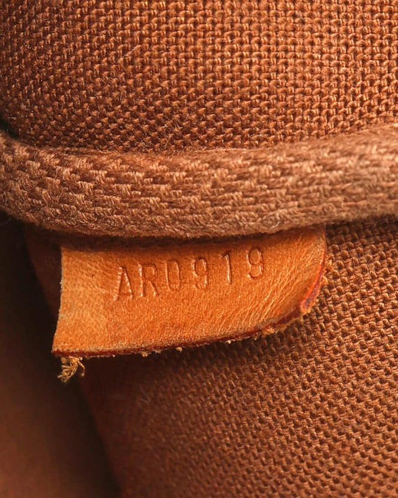 Louis Vuitton Monogram Pochette Accessoires Bag