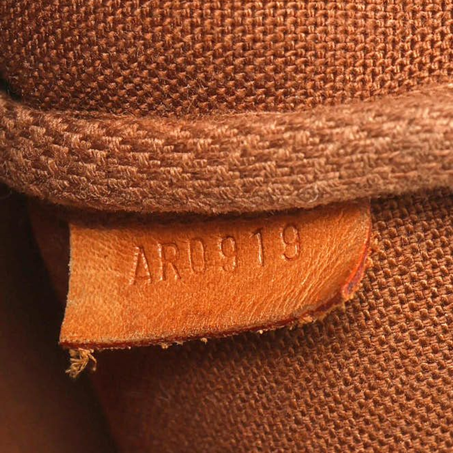 Louis Vuitton Monogram Pochette Accessoires Bag