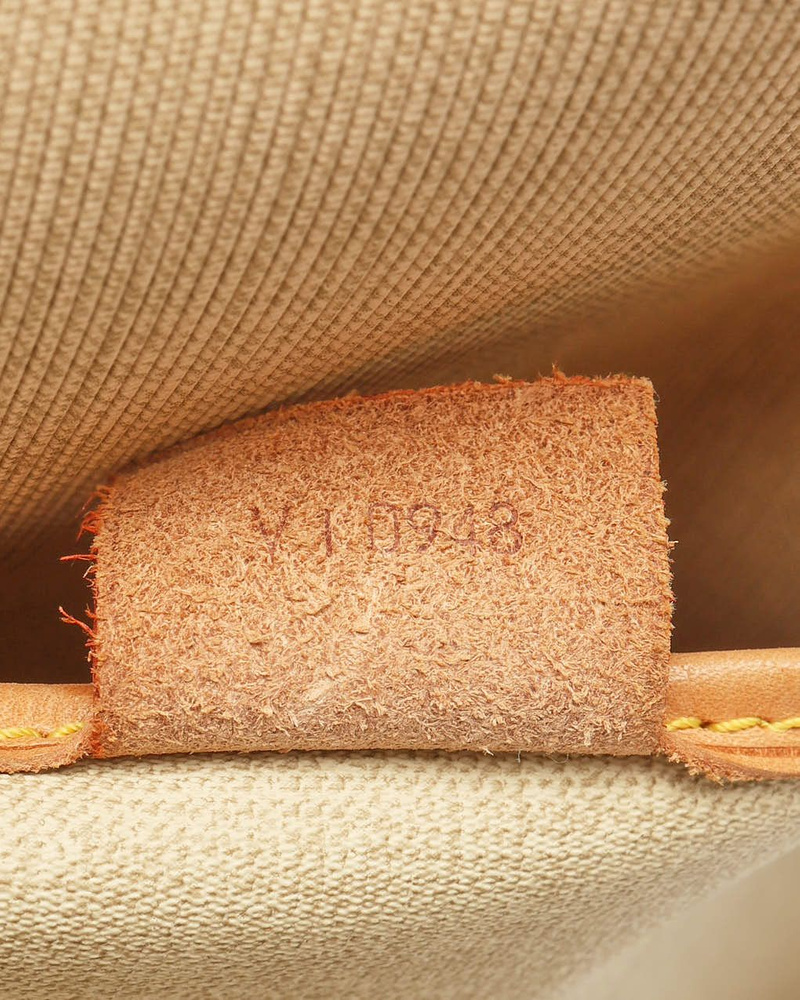 Louis Vuitton Monogram Excursion Bag