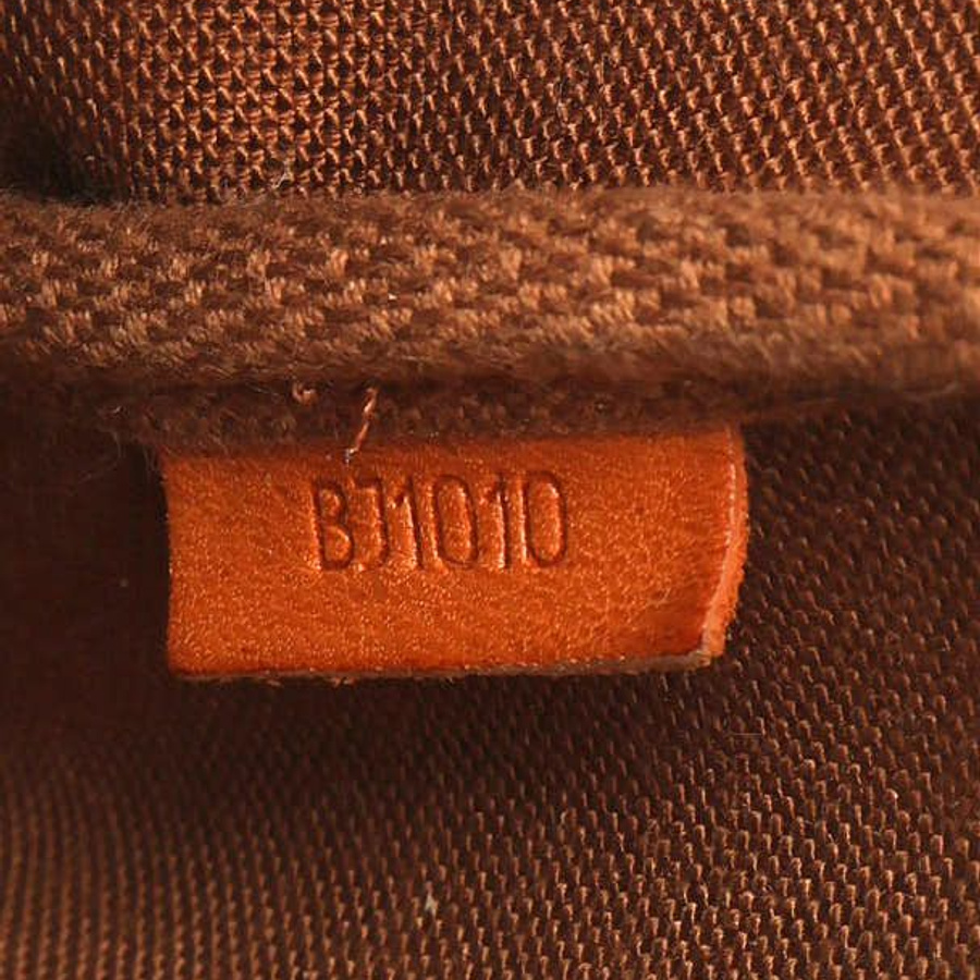 Louis Vuitton Monogram Pochette Accessoires Bag