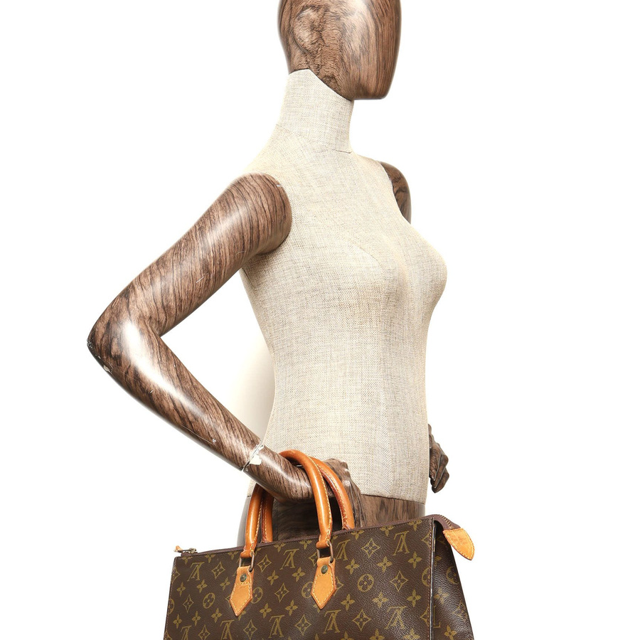 Louis Vuitton Monogram Sac Triangle Bag