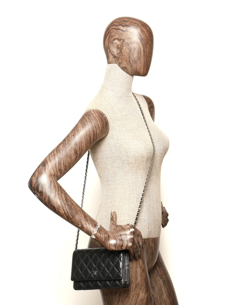 Chanel Wallet On Chain Bag