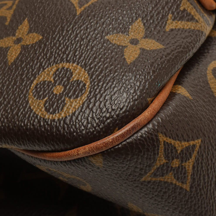 Louis Vuitton Monogram Galliera PM Bag