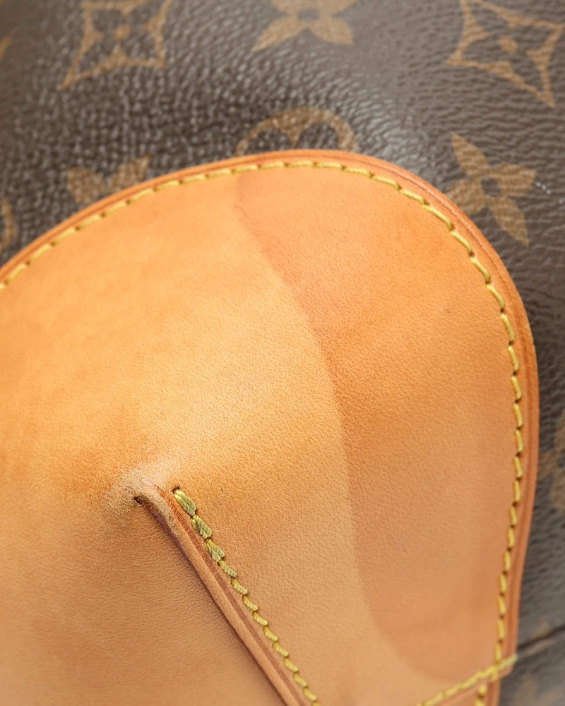 Louis Vuitton Monogram Berry PM Bag