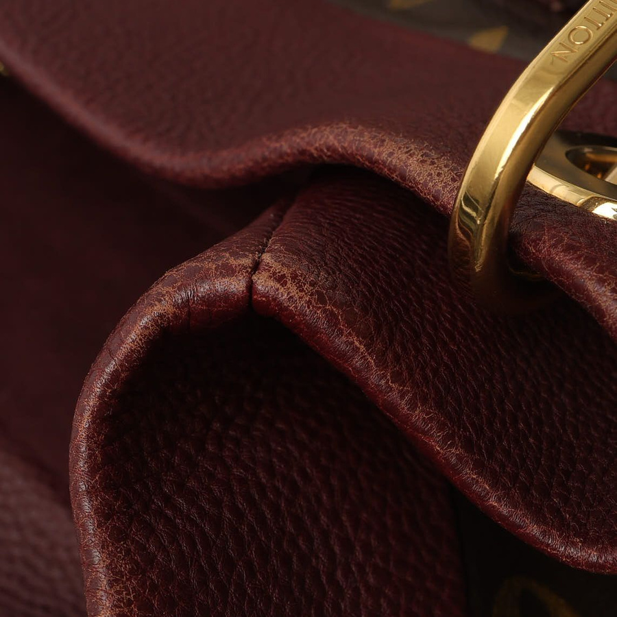 Louis Vuitton Monogram Olympe Bag