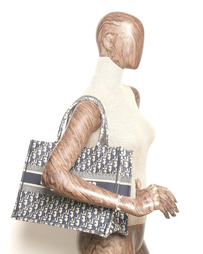 Christian Dior Medium Oblique Book Tote Bag