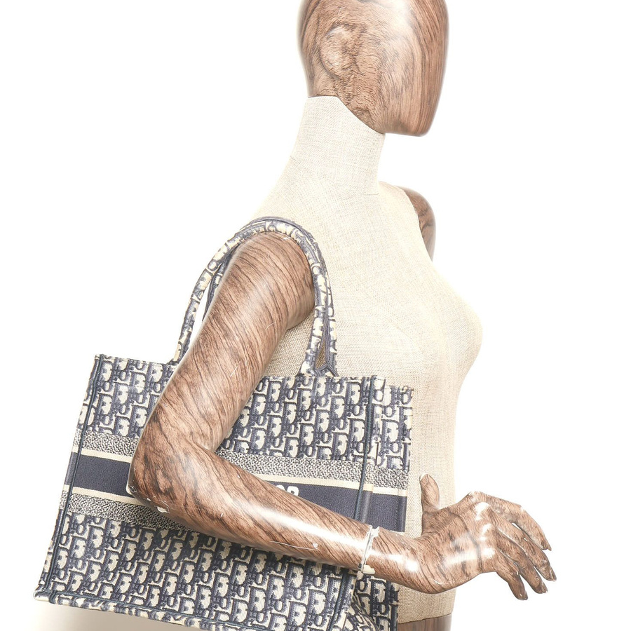 Christian Dior Medium Oblique Book Tote Bag