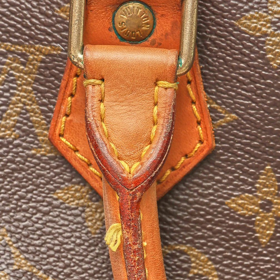 Louis Vuitton Monogram Speedy 25 Bag