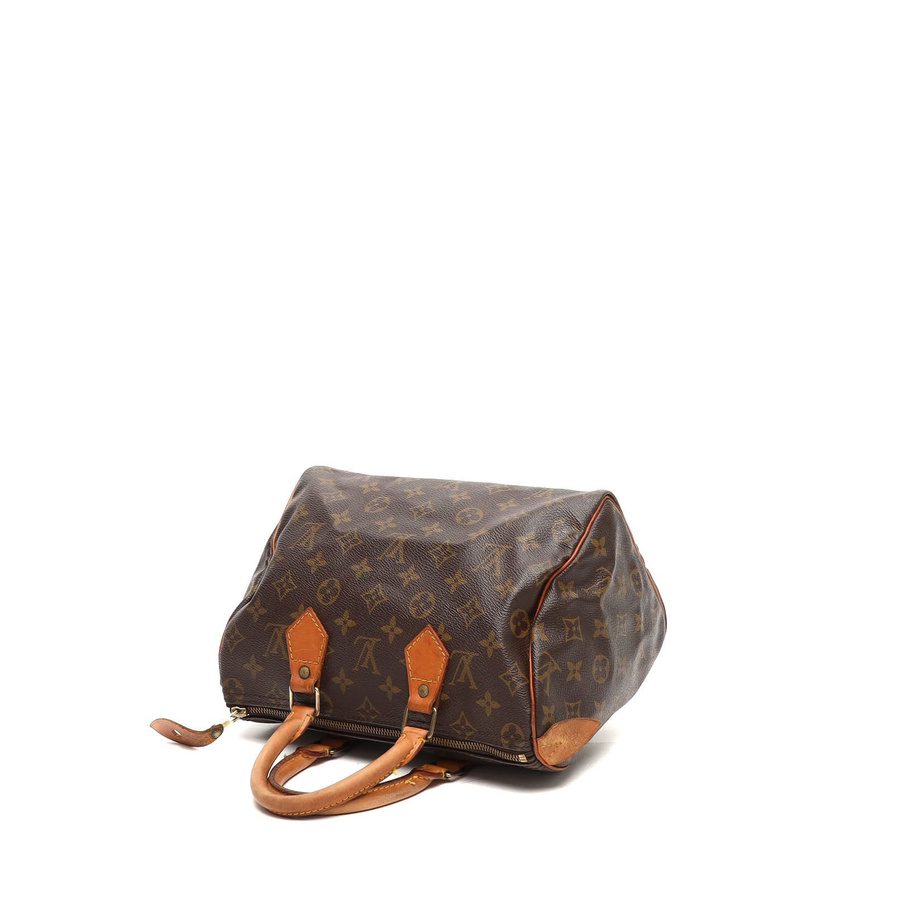 Louis Vuitton Monogram Speedy 25 Bag