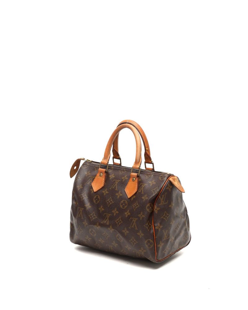 Louis Vuitton Monogram Speedy 25 Bag