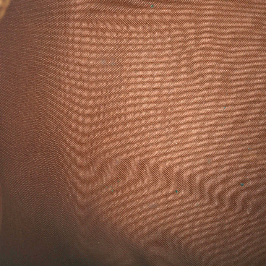 Louis Vuitton Monogram Speedy 25 Bag