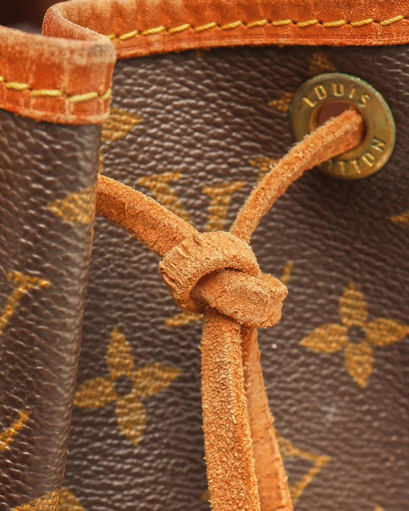 Louis Vuitton Monogram Petit Noé Bag