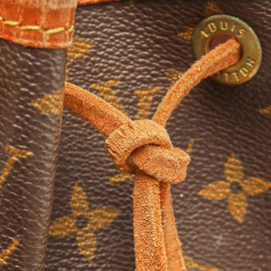 Louis Vuitton Monogram Petit Noé Bag