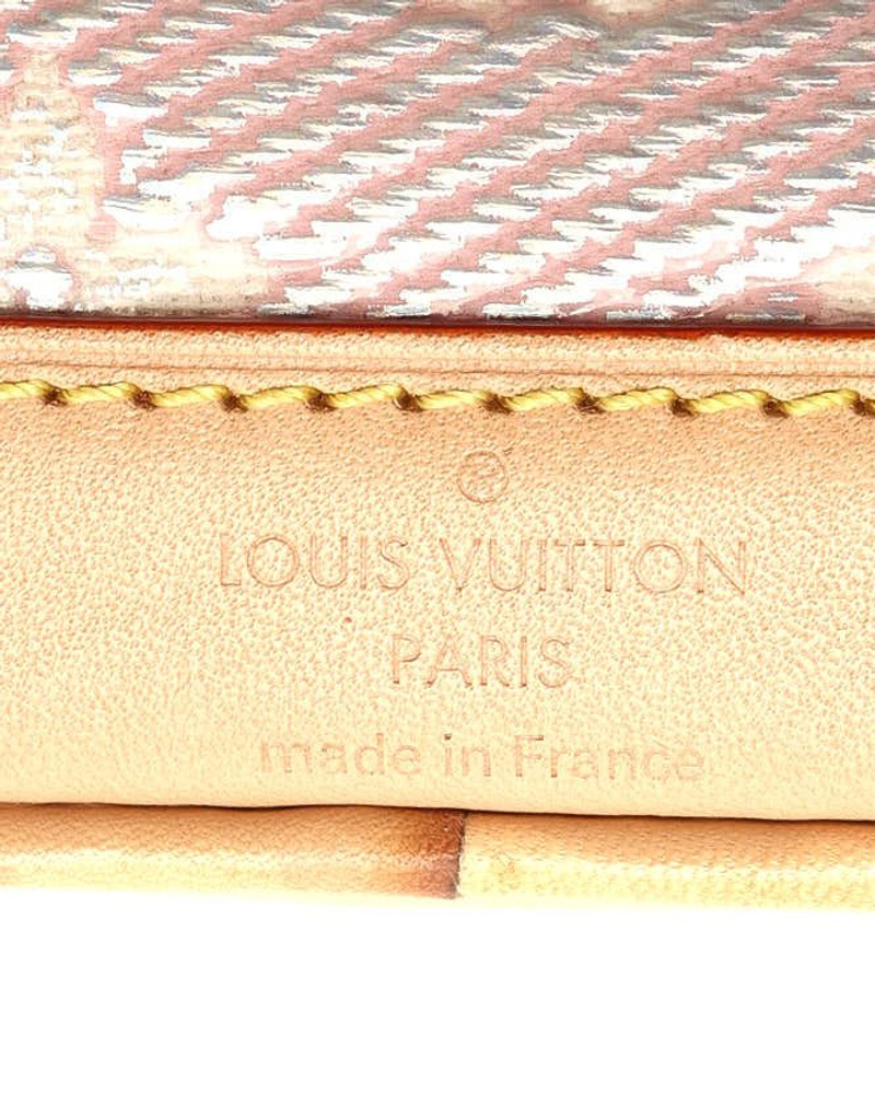 Louis Vuitton Monoglam Nano Noé Bag