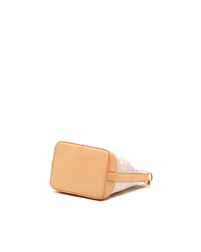 Louis Vuitton Monoglam Nano Noé Bag