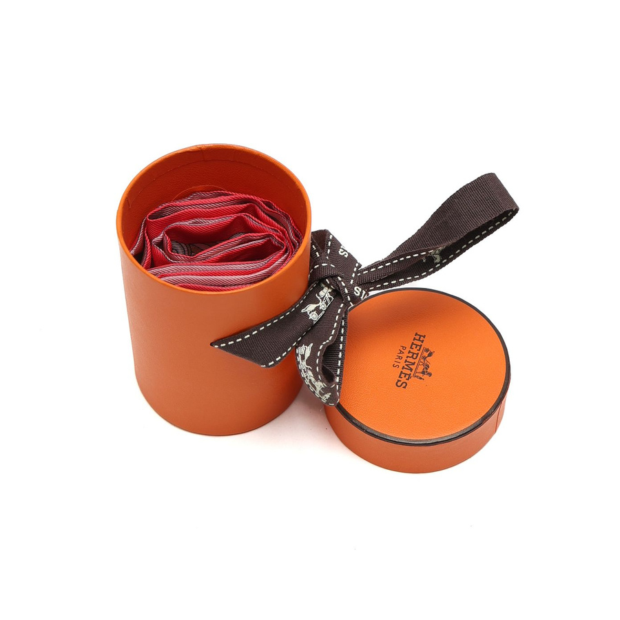Hermès Silk Twilly