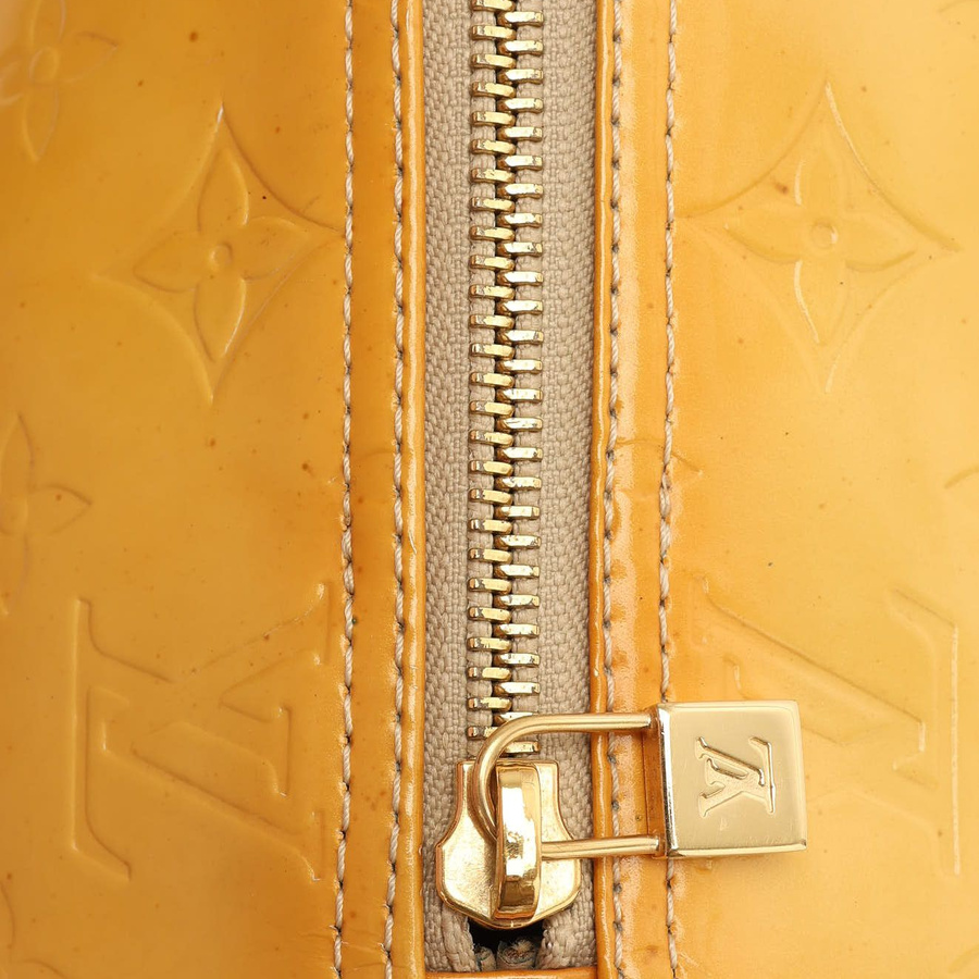 Louis Vuitton Vernis Papillon Bag